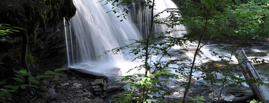 24小时不停呼叫软件